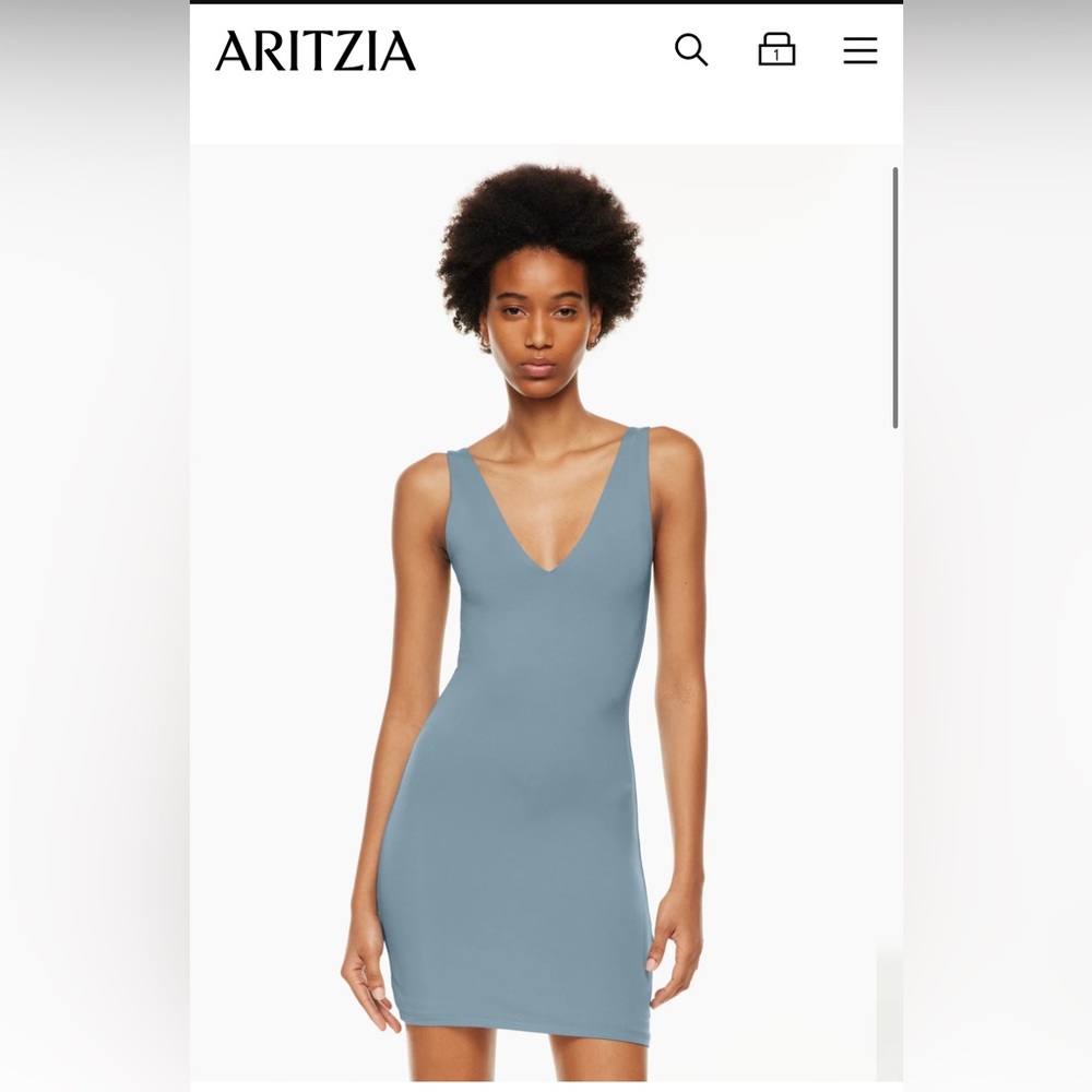 Babaton aritzia mini blue dress